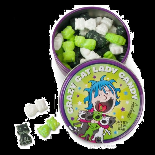 Halloween Candy Gifts Crazy Cat Lady Candy and Tin
